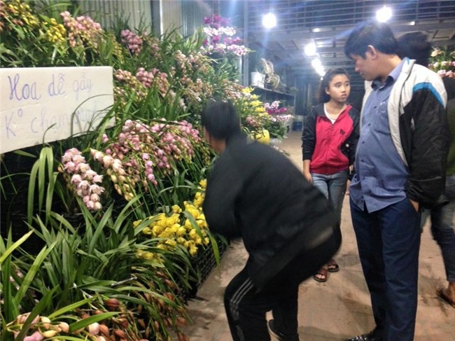 gia hoa se tang vu vu dip can tet? hinh anh 3