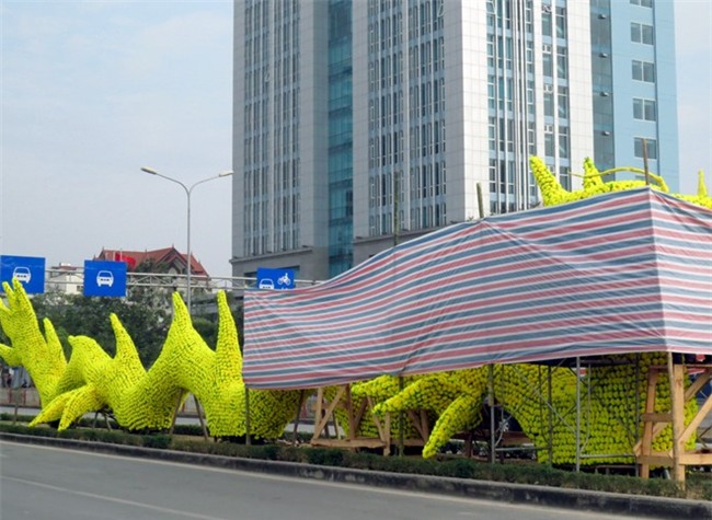 Can canh mo hinh rong gay tranh cai o Hai Phong hinh anh 2