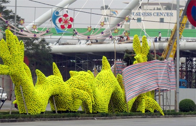 Can canh mo hinh rong gay tranh cai o Hai Phong hinh anh 4