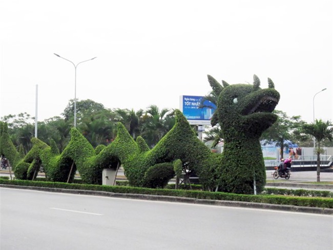 Can canh mo hinh rong gay tranh cai o Hai Phong hinh anh 6