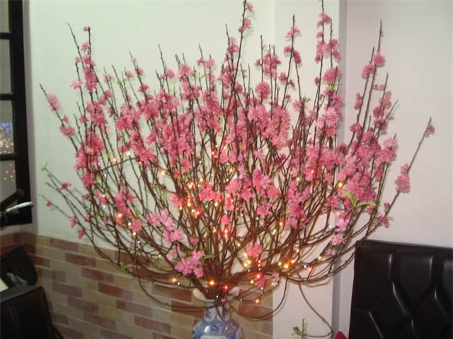 cam hoa dao hop phong thuy, ruoc tai loc vao nha ngay tet hinh anh 1