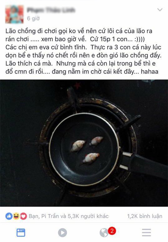 co vo voi chieu doc tri chong va man dap tra cuc ngau cua anh chong ba dao - 1