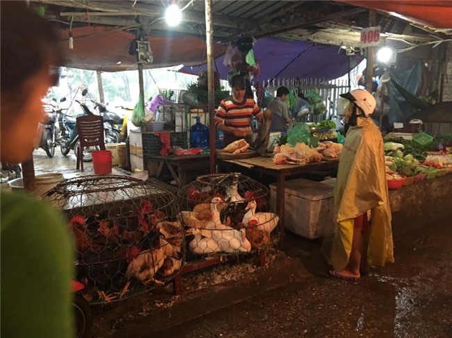 Cảnh giết mổ gà tại chợ: Bà nội trợ hãy 1 lần nhìn lại