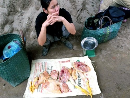 Cảnh giết mổ gà tại chợ: Bà nội trợ hãy 1 lần nhìn lại