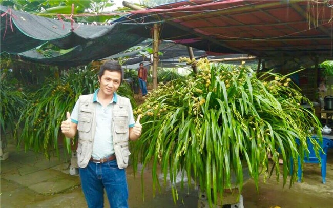 Vườn địa lan hơn 50 tỷ trên đỉnh trời Sapa