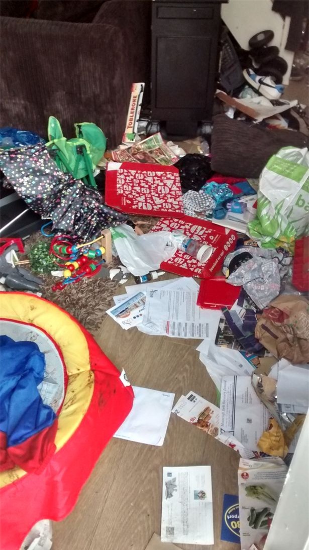 Video: Khung cảnh kinh hoàng bên trong căn nhà nơi 2 chú chó bị bỏ đói tới chết - Ảnh 5.