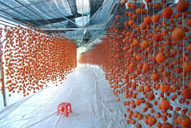 Sản phẩm hồng sấy treo Đà Lạt hiện đang hút hàng dịp Tết