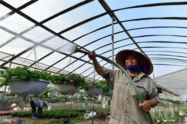 Lang hoa dep it nguoi biet o Hung Yen hinh anh 2