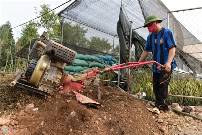 Lang hoa dep it nguoi biet o Hung Yen hinh anh 3