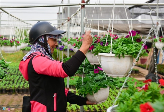 Lang hoa dep it nguoi biet o Hung Yen hinh anh 11