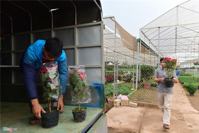 Lang hoa dep it nguoi biet o Hung Yen hinh anh 12