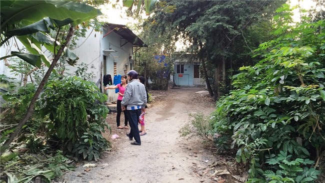 nguoi dan ong o sg bi dam, guc chet canh bui chuoi hinh anh 1