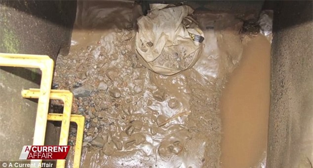 Nhờ chiếc răng giả, phát hiện chồng 70 tuổi giết vợ trẻ rồi phân hủy thi thể bằng axit - Ảnh 5.