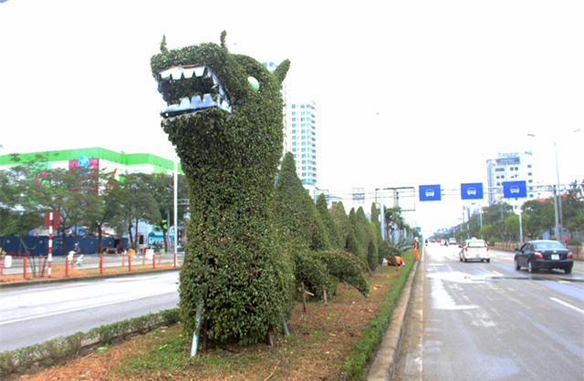 Hải Phòng: Con rồng lạ” xơ xác, thảm hại sau khi gỡ bỏ hoa giả - Ảnh 6.