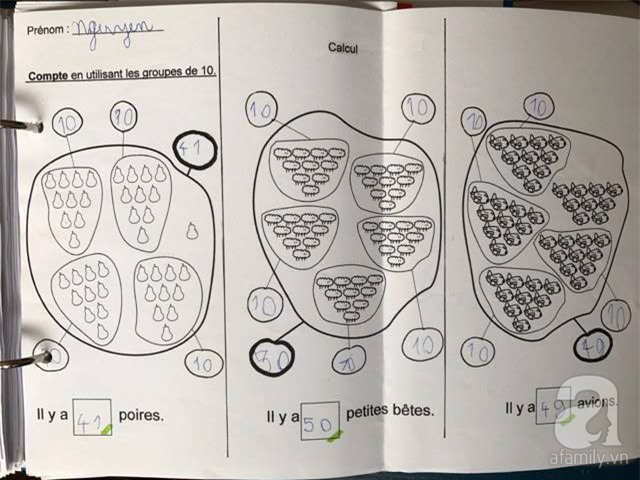 Học tiểu học ở Pháp: Không sách giáo khoa, không bài tập về nhà - Ảnh 4.