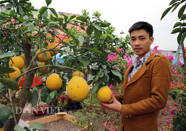 chuyen gia chi cach chon buoi dien chuan ngon “het say” hinh anh 2