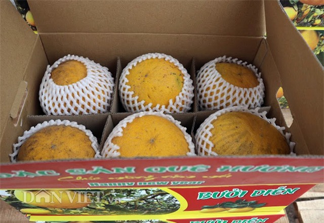 chuyen gia chi cach chon buoi dien chuan ngon “het say” hinh anh 7