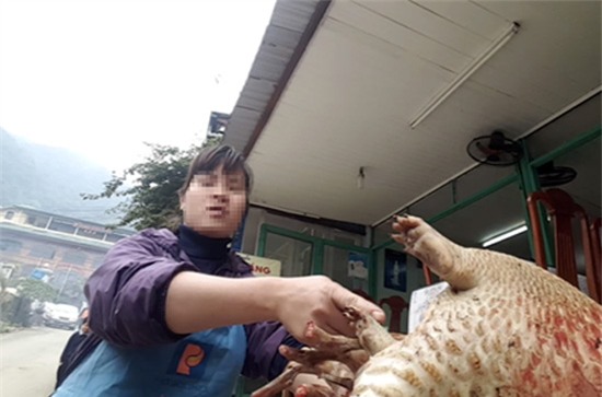 Thịt thú rừng 'khoe' săn ở Vườn quốc gia Tam Đảo có thể là... chuột cống