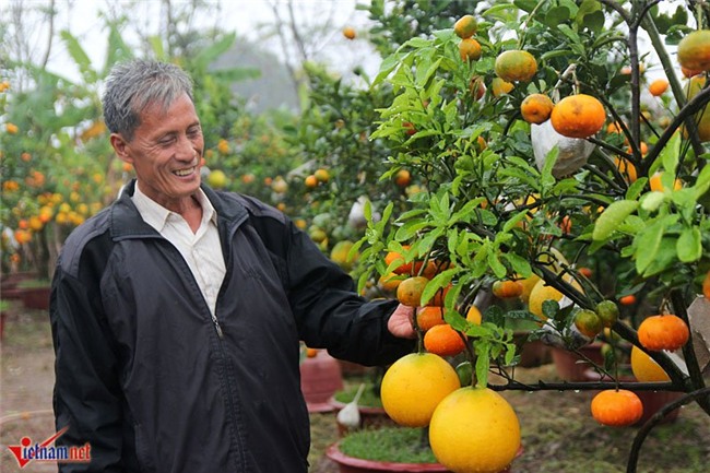 Kỳ lạ cây 9 loại quả cùng chín rộ vào Tết