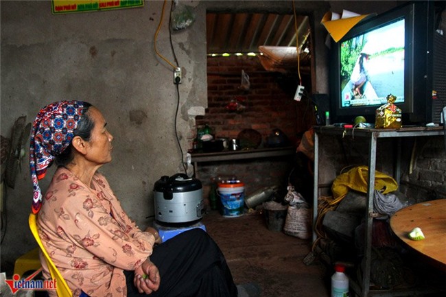 Kỳ lạ cây 9 loại quả cùng chín rộ vào Tết