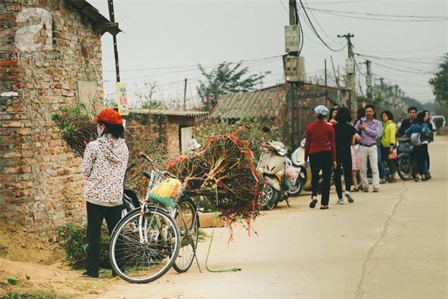 Rằm tháng Chạp, đã thấy nôn nao vị Tết khi hoa đào về trên phố xuân - Ảnh 11.