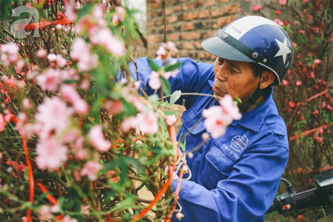 Rằm tháng Chạp, đã thấy nôn nao vị Tết khi hoa đào về trên phố xuân - Ảnh 12.