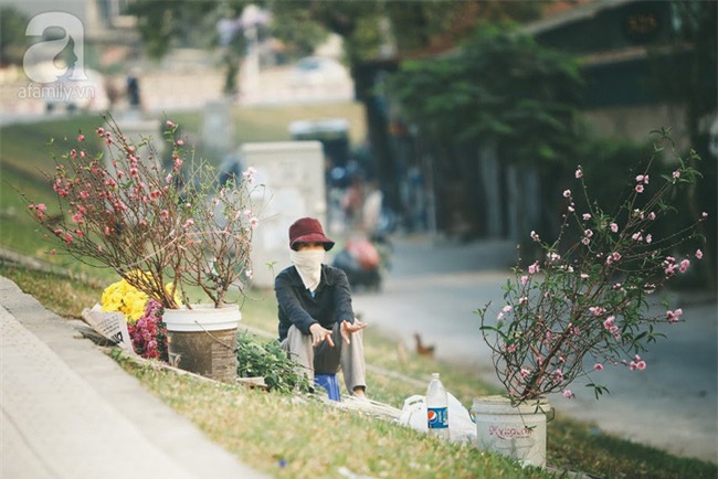 Rằm tháng Chạp, đã thấy nôn nao vị Tết khi hoa đào về trên phố xuân - Ảnh 17.