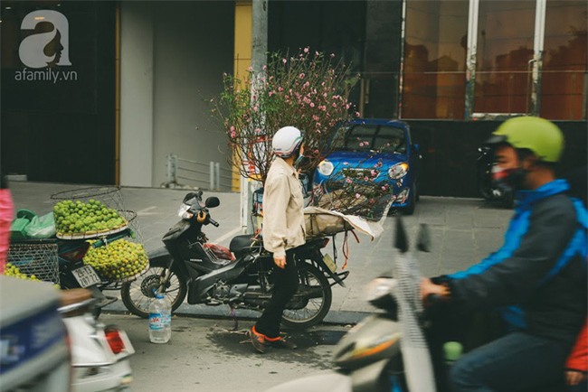 Rằm tháng Chạp, đã thấy nôn nao vị Tết khi hoa đào về trên phố xuân - Ảnh 2.