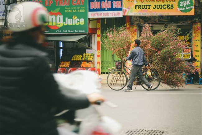 Rằm tháng Chạp, đã thấy nôn nao vị Tết khi hoa đào về trên phố xuân - Ảnh 5.