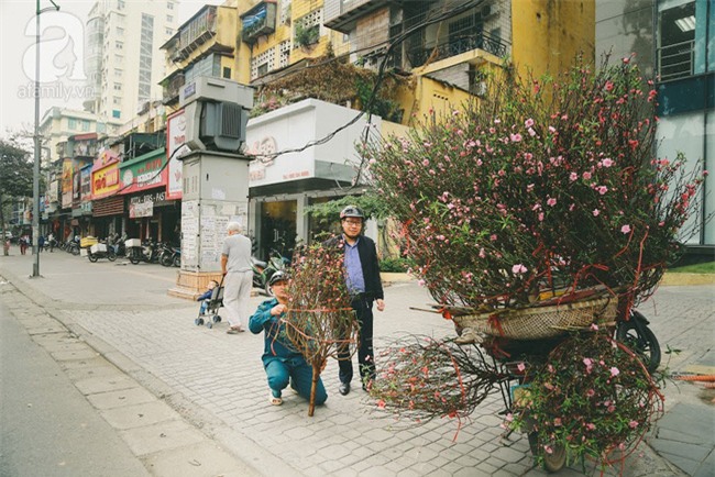 Rằm tháng Chạp, đã thấy nôn nao vị Tết khi hoa đào về trên phố xuân - Ảnh 6.