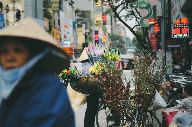 Rằm tháng Chạp, đã thấy nôn nao vị Tết khi hoa đào về trên phố xuân - Ảnh 8.
