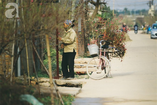 Rằm tháng Chạp, đã thấy nôn nao vị Tết khi hoa đào về trên phố xuân - Ảnh 9.