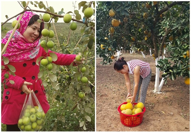 Cái Tết hứa hẹn ấm no với chị em công sở khi rủ nhau đi... buôn từ áo dài đến khoai mật, chân gà - Ảnh 7.