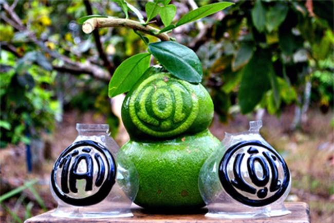 5 loại trái cây khắc chữ giá tiền triệu vẫn nhiều người tìm mua dịp Tết - Ảnh 1.