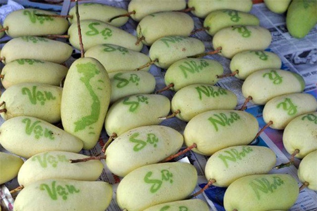 5 loại trái cây khắc chữ giá tiền triệu vẫn nhiều người tìm mua dịp Tết - Ảnh 4.