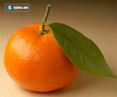 Việt Nam không thiếu loại quả ngọc màu vàng và ăn 1 quả bằng uống 5 vị thuốc bổ - Ảnh 1.