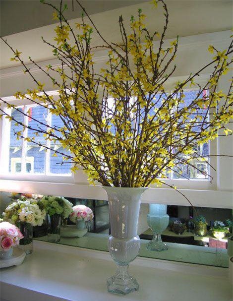 Hoa đào, hoa mai Mỹ bay ngàn km chiều đại gia Việt chơi Tết