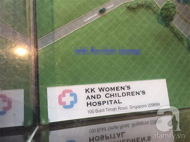 Lùm xùm vụ trục lợi tiền ủng hộ bé bị não úng thủy chữa trị tại Singapore, tình nguyện viên và sư thầy lên tiếng - Ảnh 12.