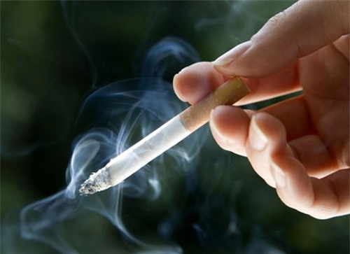 1001 kieu nghi trua "kho do" cua dan van phong - 7