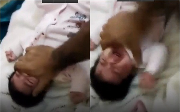 Clip sốc: Cha hành hạ con gái, gửi clip đe dọa để vợ cũ quay về gây rúng động dư luận - Ảnh 1.