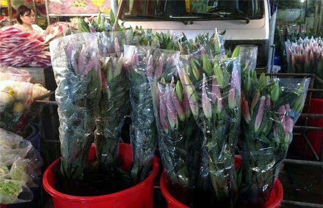 Hoa ly ế ‘cho không thèm lấy’, địa lan bạc triệu đắt khách