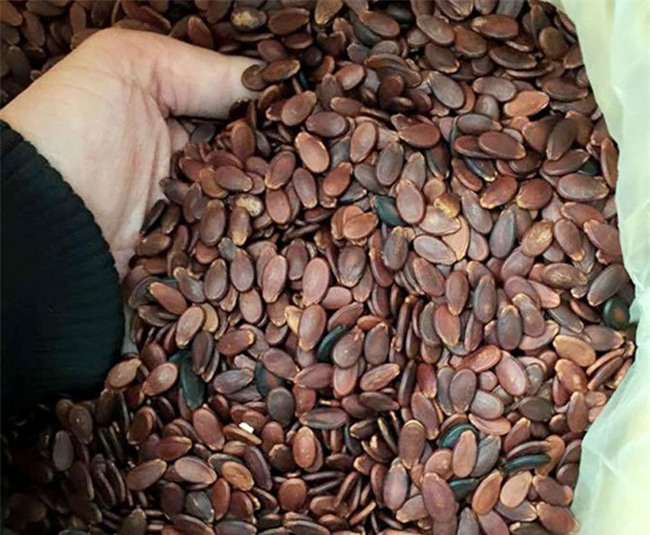 8 loại hạt khô tuyệt ngon, nên chuẩn bị sẵn để nhâm nhi trong dịp Tết - Ảnh 3.
