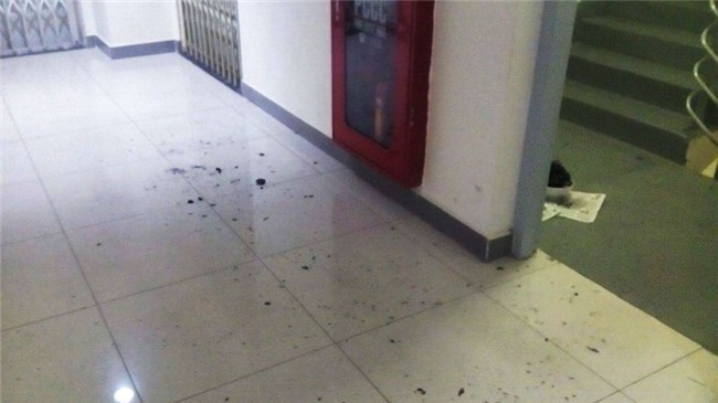 Bất ngờ khó tin vụ giết nữ sinh, giấu xác trong thùng xốp