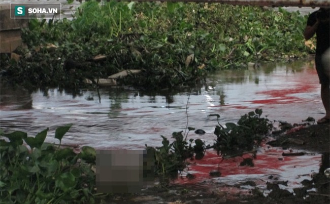 Hốt hoảng phát hiện thi thể người đàn ông trôi trên sông Sài Gòn