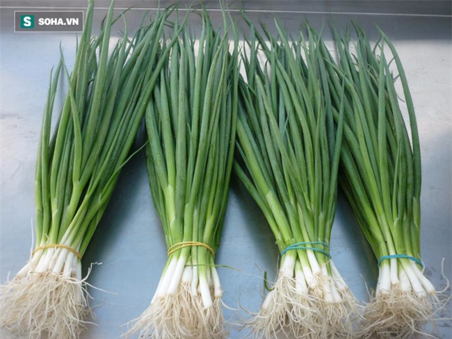 11 loại bệnh chỉ cần dùng 1 củ hành chữa là khỏi mà rất ít tác dụng phụ - Ảnh 3.