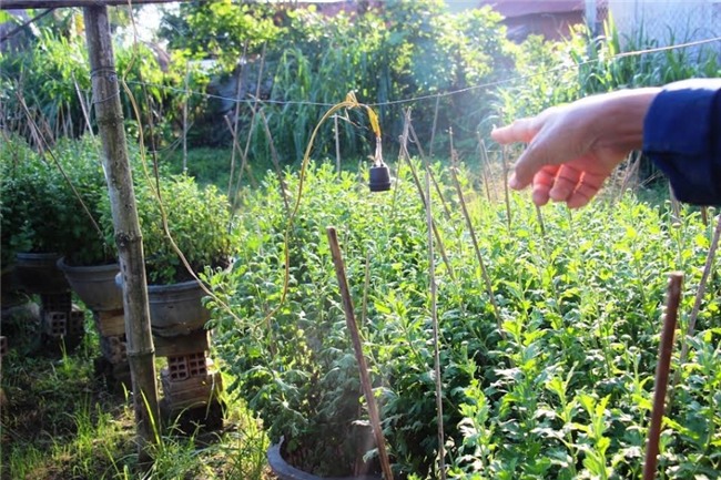 truoc tet chuc ngay cuc van