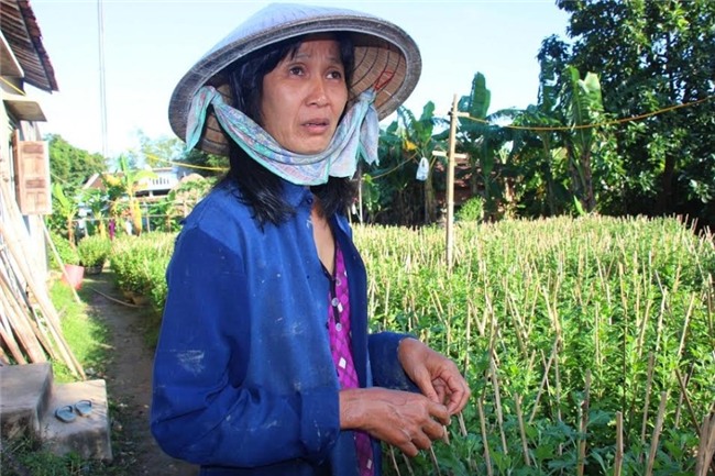 truoc tet chuc ngay cuc van