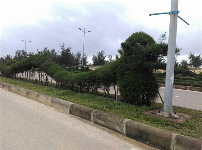 Những con rồng trang trí Tết có hình dáng kì lạ gây tranh cãi - Ảnh 2.