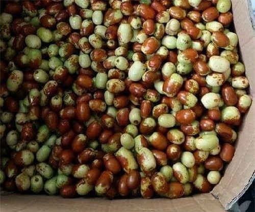 ha thanh sinh do ngoai: tu tao dai tham xin den nho la dat vo dich hinh anh 4