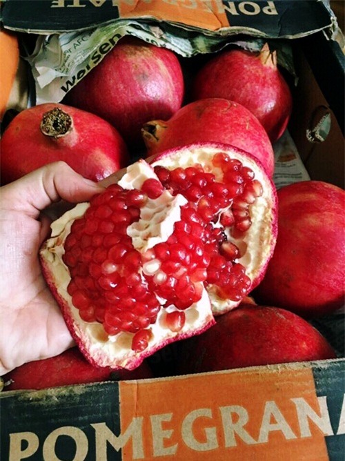 ha thanh sinh do ngoai: tu tao dai tham xin den nho la dat vo dich hinh anh 6